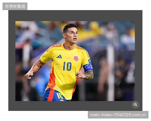 队长哈梅斯领衔的老将阵容面临体能考验，或成为世界杯征程的潜在变数。